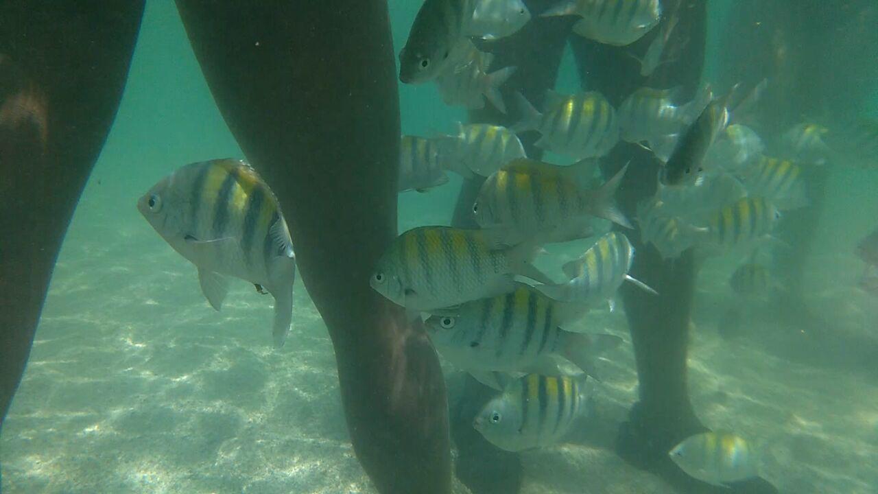 Pousada Casanossa Boipeba Island Zewnętrze zdjęcie